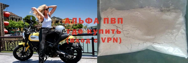 шишки Абаза