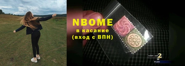 шишки Абаза