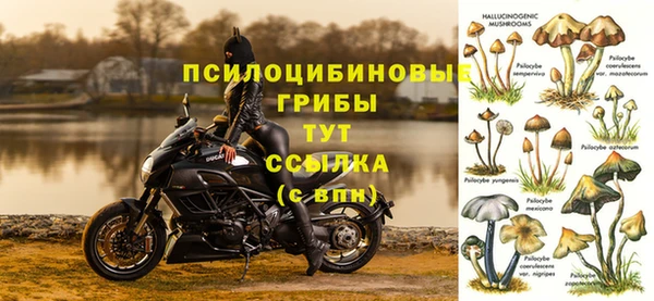 прущая мука Абинск