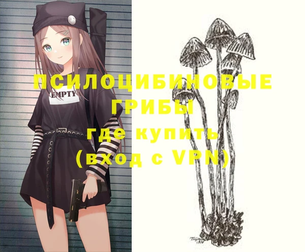 шишки Абаза
