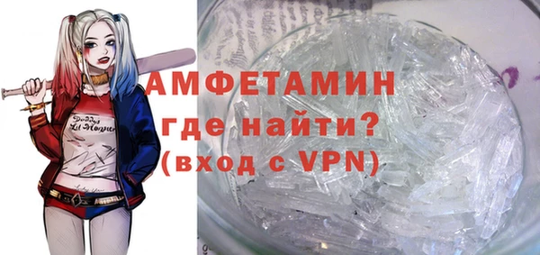 шишки Абаза