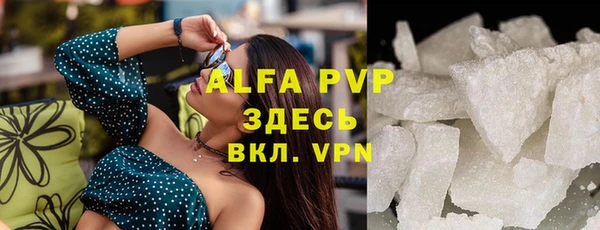 шишки Абаза