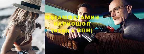шишки Абаза