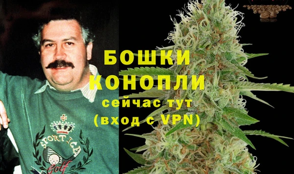 шишки Абаза
