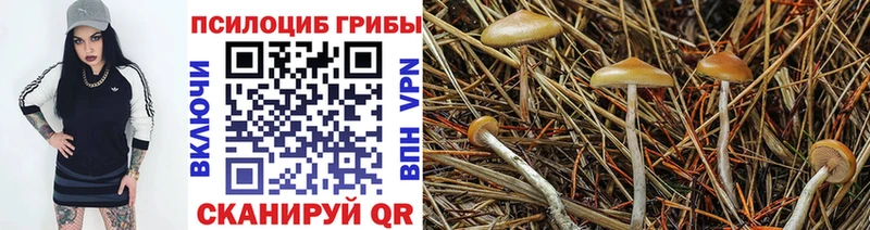 Галлюциногенные грибы GOLDEN TEACHER  Тетюши 